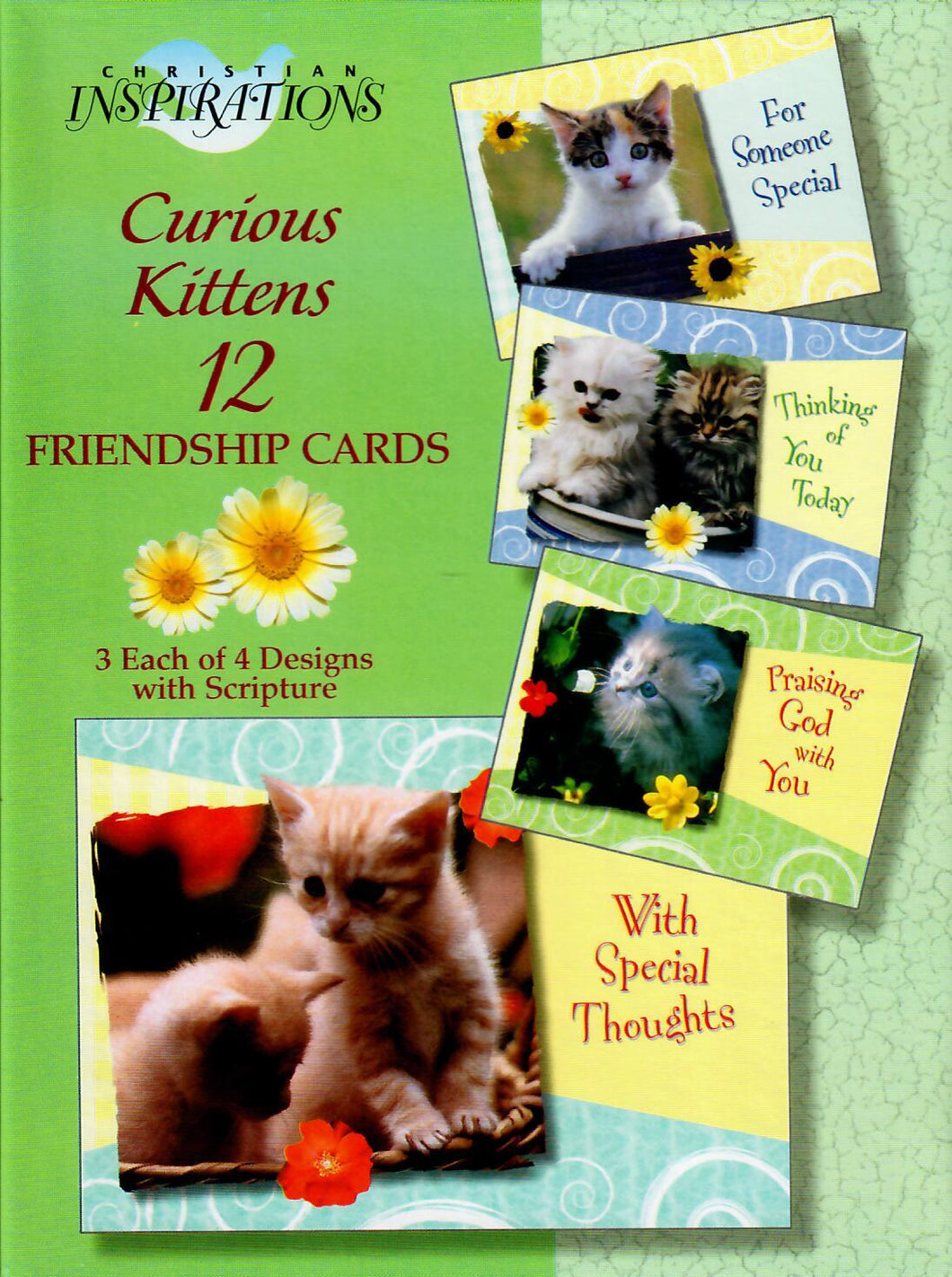 F25311 - FRIENDSHIP - CURIOUS KITTENS