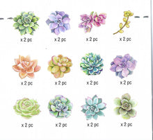 Load image into Gallery viewer, 3008E - DIE CUT STICKERS - SUCCULENTS