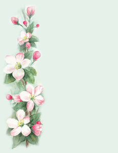 41777 - DESIGNER PAPER - APPLE BLOSSOM