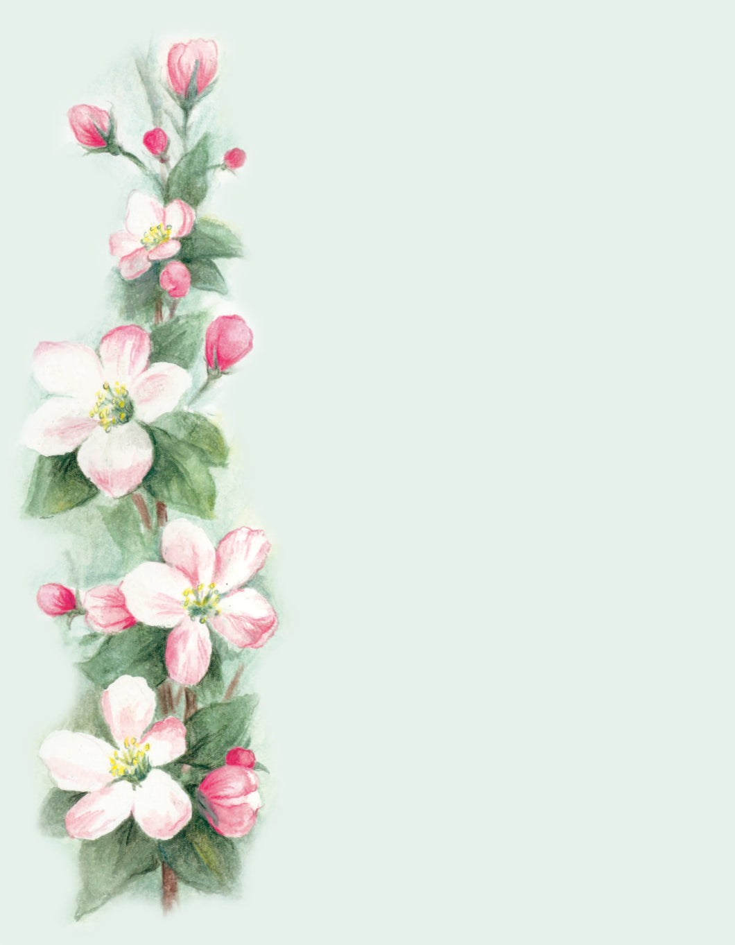 41777 - DESIGNER PAPER - APPLE BLOSSOM