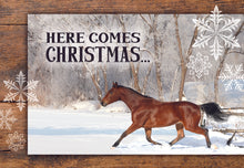 Load image into Gallery viewer, F43197 - HOLIDAY HORSES - KJV