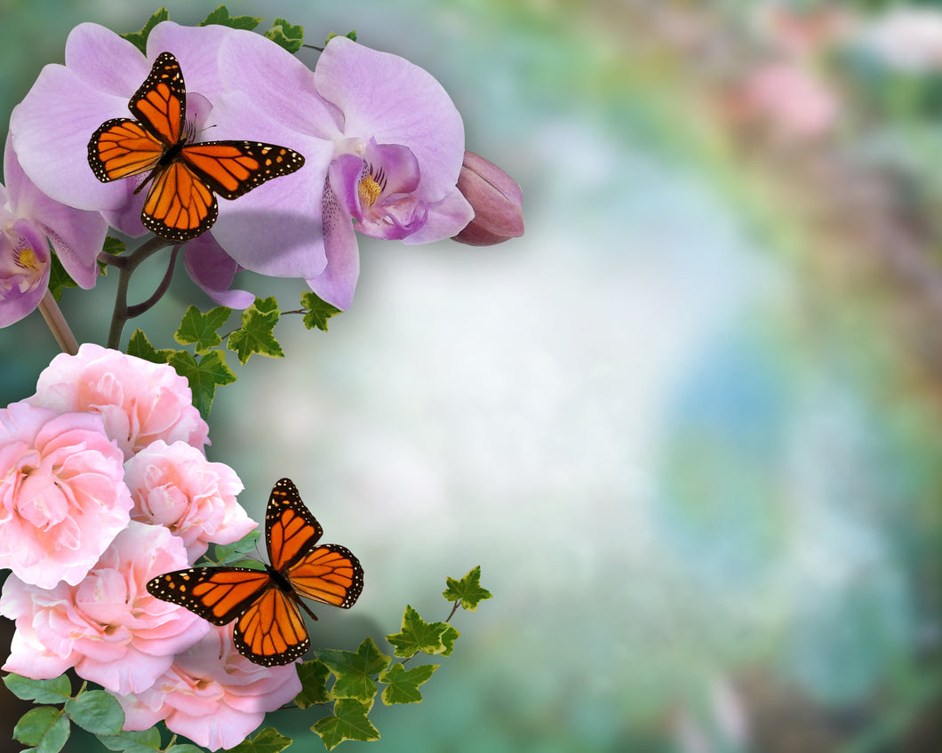 55026 - ATTENDANCE CHART - BUTTERFLIES AND FLOWERS