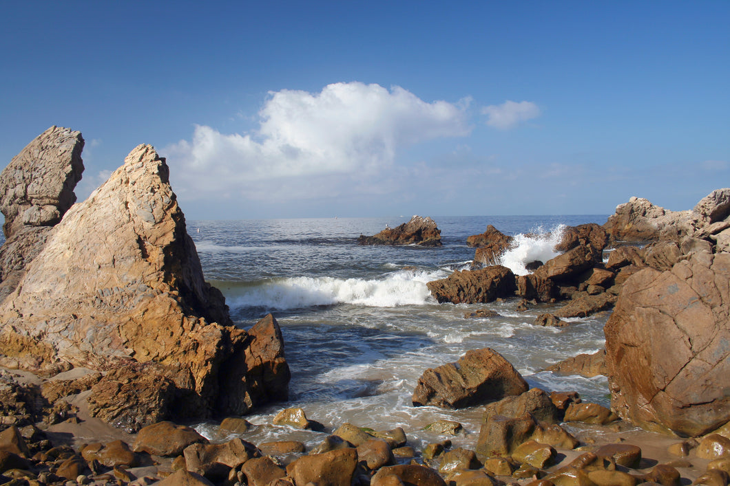 55027 - ATTENDANCE CHART - ROCKY COAST
