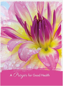 98642 - Religious Get Well Soon Card Set with Envelopes, 12 Cards, Puppy, Floral, and Landscape Photography 12 cards with 4 assorted designs and KJV Scripture.