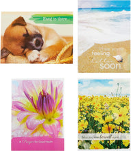 Load image into Gallery viewer, 98642 - Religious Get Well Soon Card Set with Envelopes, 12 Cards, Puppy, Floral, and Landscape Photography 12 cards with 4 assorted designs and KJV Scripture.