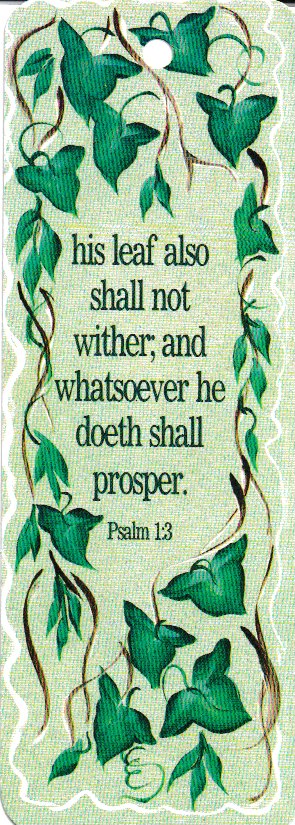 92146 - BOOKMARK - IVY - PACK OF 100