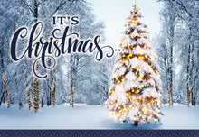 Load image into Gallery viewer, F03451 - CHRISTMAS ILLUMINATION - KJV