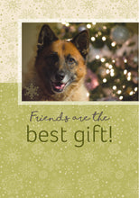 Load image into Gallery viewer, F03477 - The Beauty Of Christmas