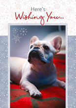 Load image into Gallery viewer, F03477 - The Beauty Of Christmas