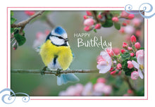 Load image into Gallery viewer, F99075 - BIRTHDAY - SONG BIRDS