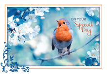 Load image into Gallery viewer, F99075 - BIRTHDAY - SONG BIRDS