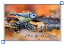 Load image into Gallery viewer, F99075 - BIRTHDAY - SONG BIRDS