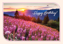 Load image into Gallery viewer, F99086 - SUNSHINE - BIRTHDAY
