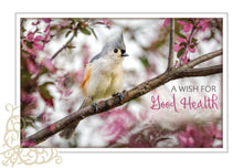 Load image into Gallery viewer, F99106 - GET WELL - SONG BIRDS