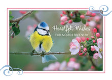 Load image into Gallery viewer, F99106 - GET WELL - SONG BIRDS