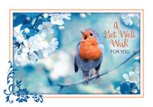 Load image into Gallery viewer, F99106 - GET WELL - SONG BIRDS