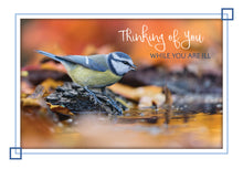 Load image into Gallery viewer, F99106 - GET WELL - SONG BIRDS