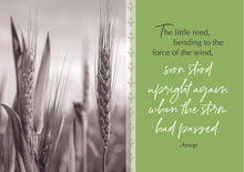 Load image into Gallery viewer, F99116 - PRAYING FOR YOU - MOMENTS IN PRAYER