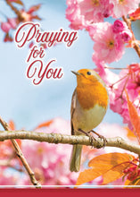 Load image into Gallery viewer, G3504 - PRAYERFUL MELODIES - PRAYING FOR YOU