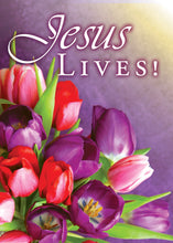 Load image into Gallery viewer, G3794 - HOPE OF EASTER - EASTER - KJV