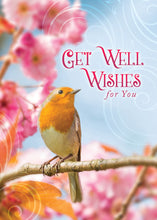 Load image into Gallery viewer, G4606 - ALL OCCASION - FEATHERED FRIENDS - KJV