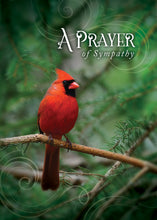 Load image into Gallery viewer, G4606 - ALL OCCASION - FEATHERED FRIENDS - KJV