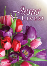 Load image into Gallery viewer, G4616 - SECRET SISTER - KJV/NIV