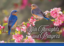 Load image into Gallery viewer, G4616 - SECRET SISTER - KJV/NIV