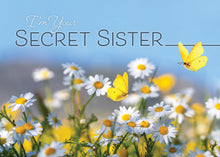 Load image into Gallery viewer, G4616 - SECRET SISTER - KJV/NIV