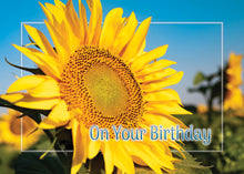 Load image into Gallery viewer, G4666 - BIRTHDAY - SUNNY WISHES - NIV