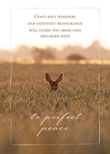 Load image into Gallery viewer, G4696 - EMPATHY - PERFECT PEACE - KJV