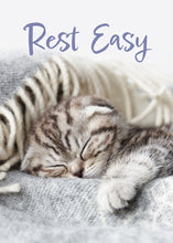 Load image into Gallery viewer, G4736 - GET WELL - WELL WHISKERS - NIV