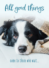 Load image into Gallery viewer, G4736 - GET WELL - WELL WHISKERS - NIV