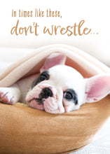 Load image into Gallery viewer, G4736 - GET WELL - WELL WHISKERS - NIV