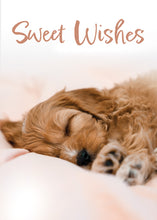 Load image into Gallery viewer, G4736 - GET WELL - WELL WHISKERS - NIV