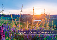 Load image into Gallery viewer, G4816 - SYMPATHY - UNTIL WE MEET AGAIN - NIV