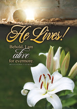 Load image into Gallery viewer, G4836 - EASTER - NEW LIFE - KJV