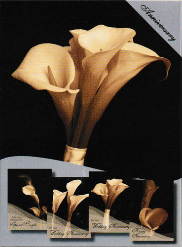 H14193 - ANNIVERSARY  - CALLA LILY - KJV