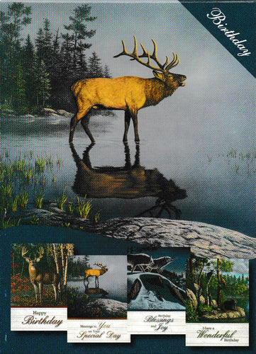 H14392 - BIRTHDAY - NATURES SPLENDER - KJV