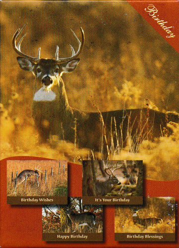 H15382 - BIRTHDAY - DREAM BUCKS - KJV