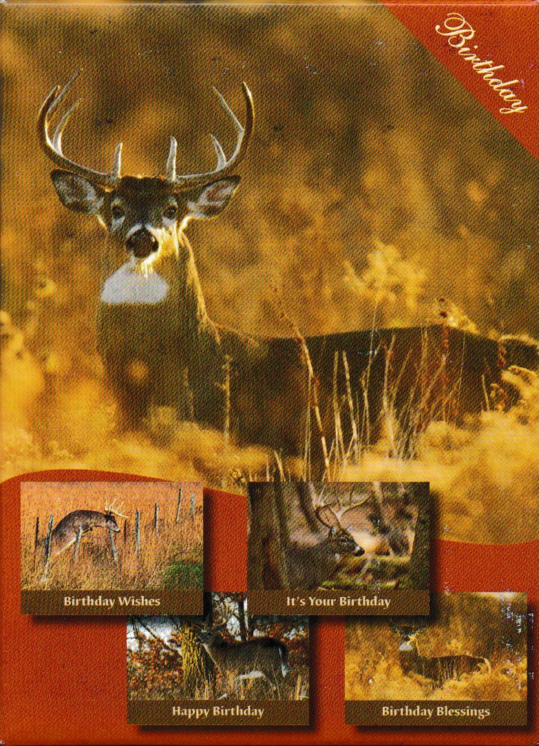 H15382 - BIRTHDAY - DREAM BUCKS - KJV