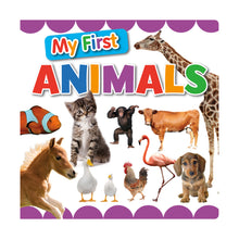 Load image into Gallery viewer, 81356 - POP UP BOARD BOOKS - COLORS AND ANIMALS - 1 EA. OF 2 TITLES