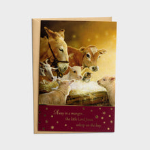 Load image into Gallery viewer, J6340 - AWAY IN A MANGER ANIMALS - NLT