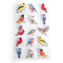 Load image into Gallery viewer, PO0011E - POP UP STICKERS - BACKYARD BIRDS
