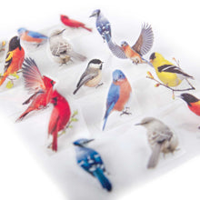Load image into Gallery viewer, PO0011E - POP UP STICKERS - BACKYARD BIRDS