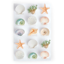Load image into Gallery viewer, PO0012E - POP UP STICKERS - SEA SHELLS