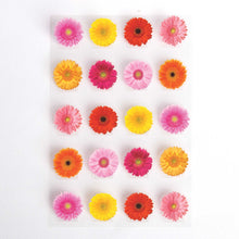 Load image into Gallery viewer, PO0014E - POP UP STICKERS - GERBERA DAISIES