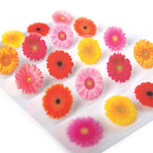 Load image into Gallery viewer, PO0014E - POP UP STICKERS - GERBERA DAISIES