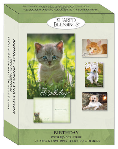 S22623 - PUPPIES AND KITTENS - BIRTHDAY - KJV