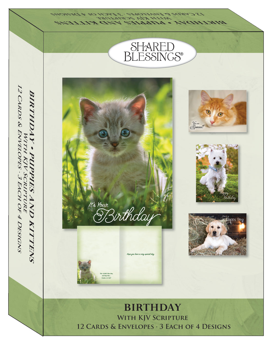 S22623 - PUPPIES AND KITTENS - BIRTHDAY - KJV